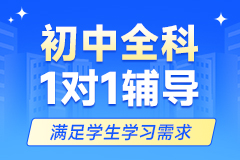 初中全科1对1辅导