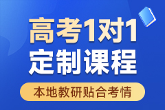 高考1对1定制课程