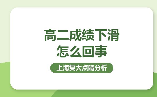 上海复大点睛谈高二成绩下滑