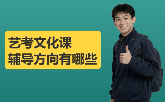高中艺考文化课辅导方向梳理